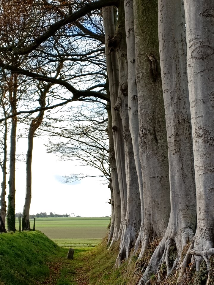 Autumn landscape normandy