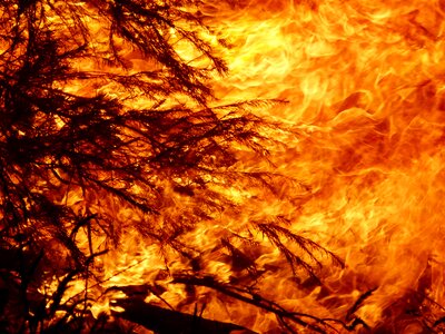 Burn bushfire bonfire