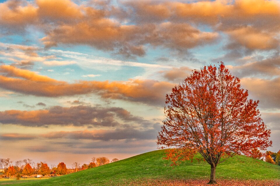 Green ground