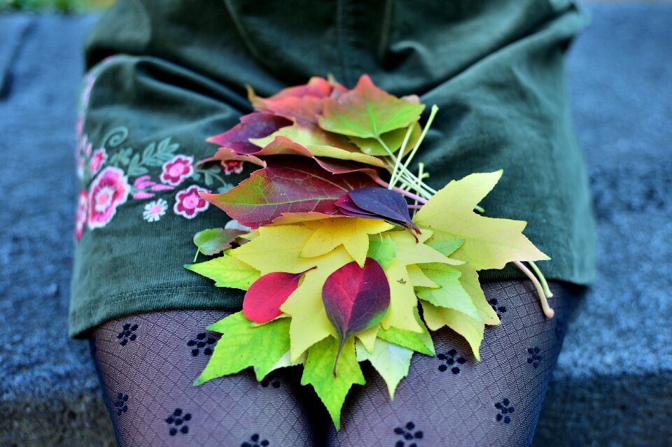Red leaf leaves yellow