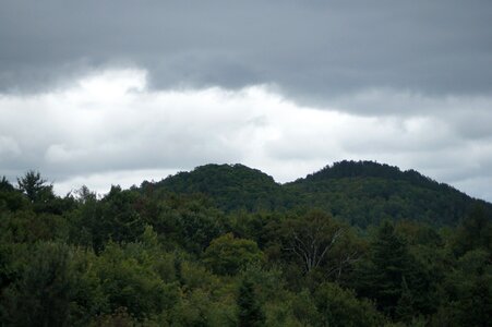 Trees nature sky photo