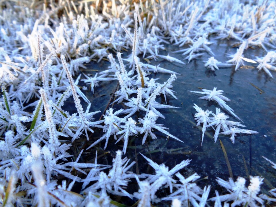 Winter frozen cold