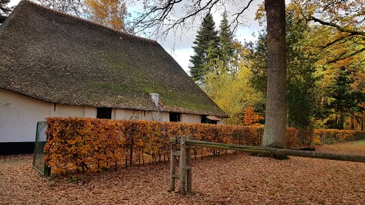 Fall antwerp peersbos