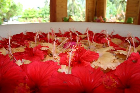 Wedding decorations hotel
