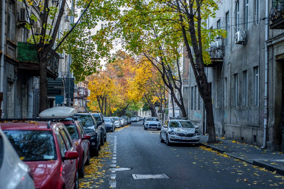 Street cars autumn street