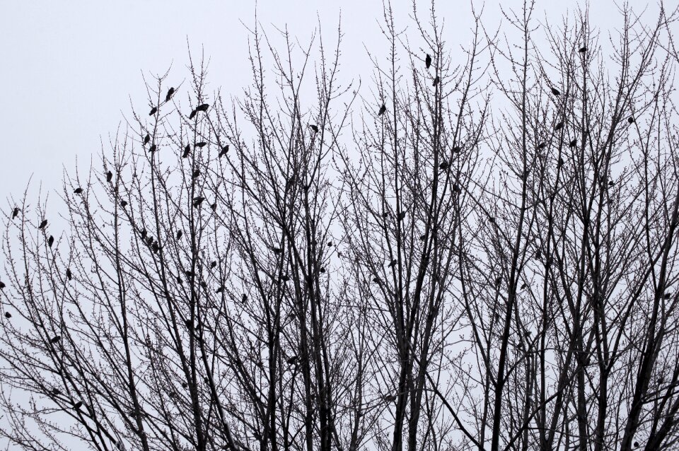 Cold snow holiday
