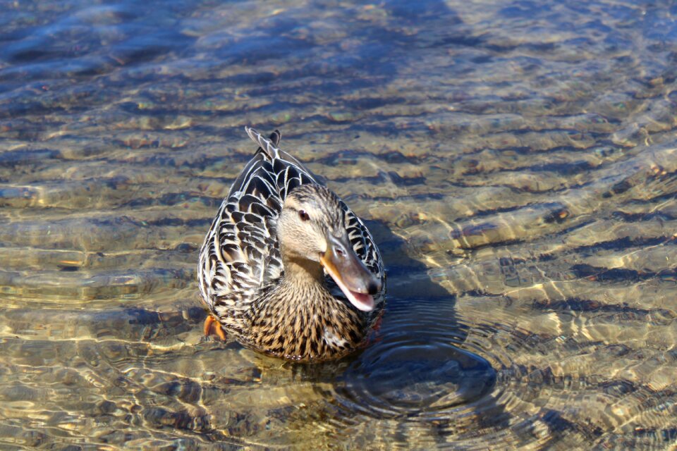 Beach lake summer
