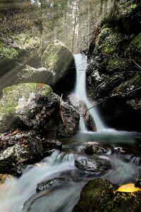 Landscape trees river photo