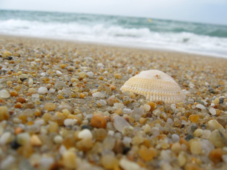 Coast nature water