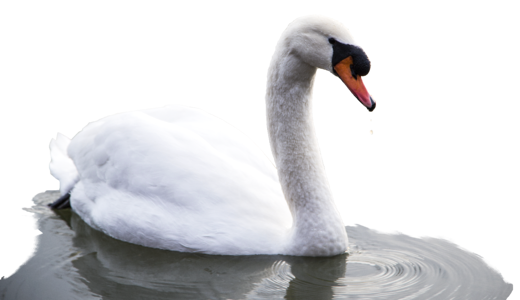 Water nature white