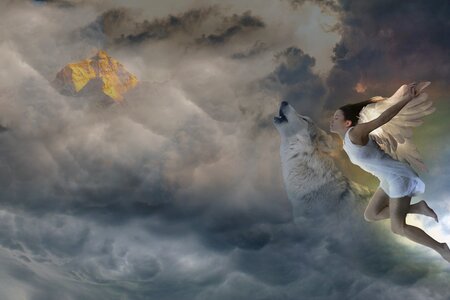 Wolf clouds gray fantasy
