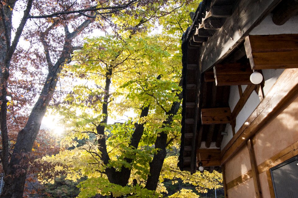 Gyeongnam korea autumn gyeongnam unmunsa