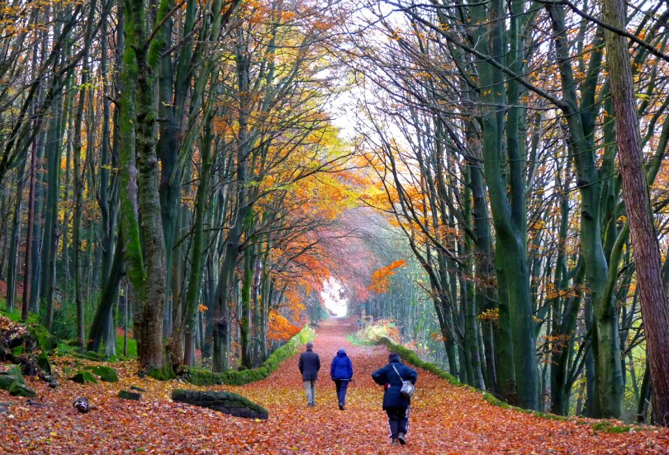 Derbyshire autumn colours