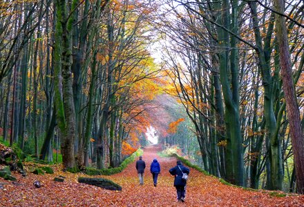 Derbyshire autumn colours photo