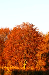 Nature mood landscape