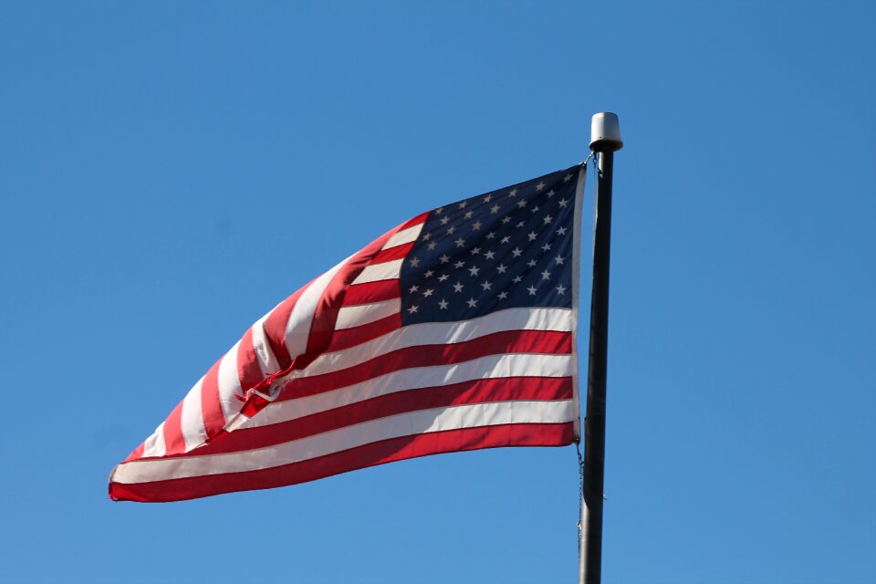 Waving america
