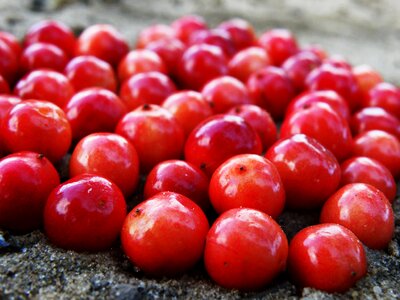 Red fresh delicious