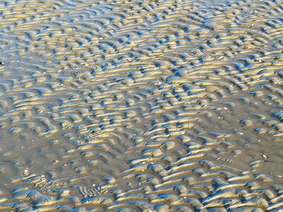 Ebb sand sea photo