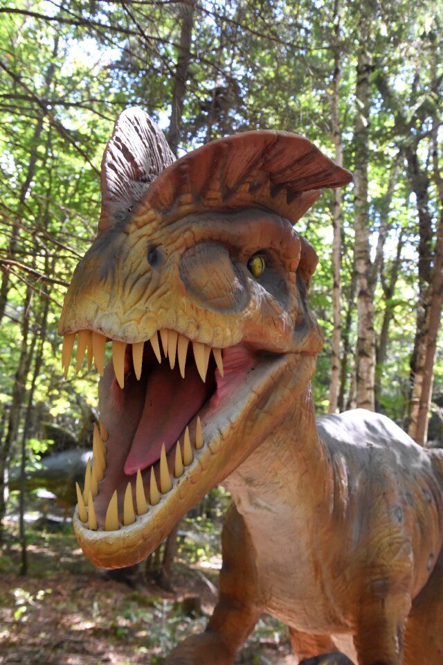 Dinosaurs québec exhibition