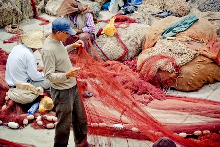 Port web fishing net photo