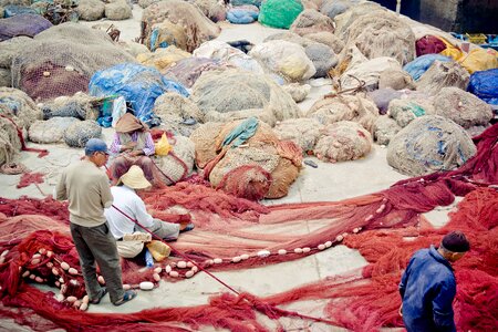 Port web fishing net photo