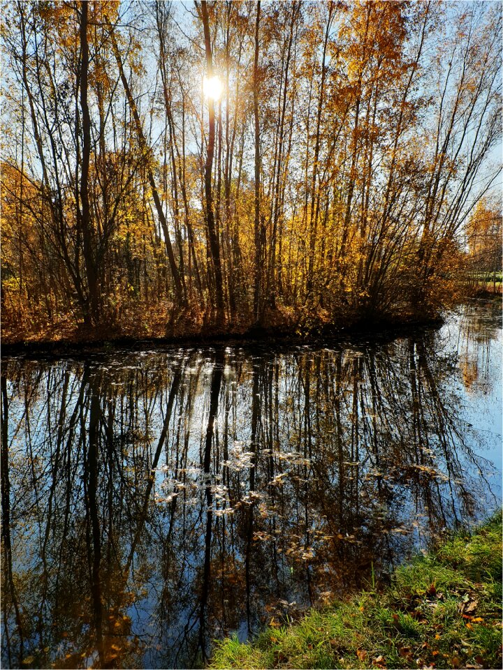 Sun mirror reflection