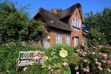 Thatched cottage garden bench photo