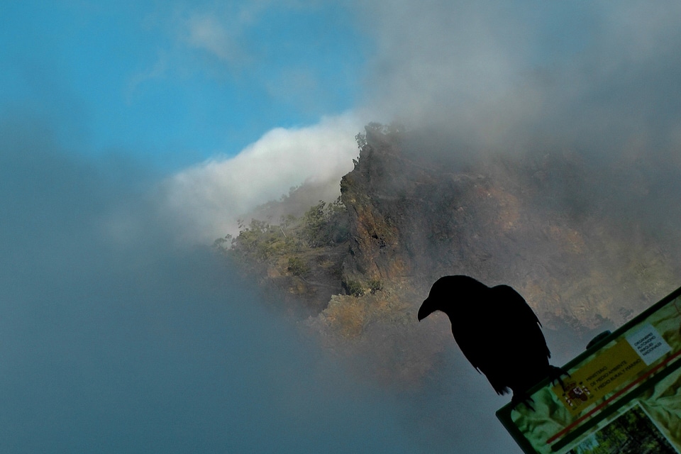 Fog mountains clouds photo