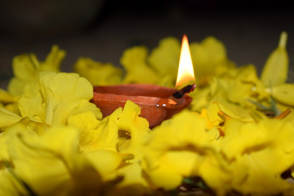 Yellow flower flame