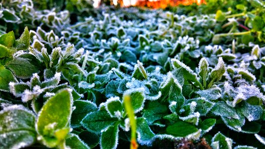 Beautiful season green