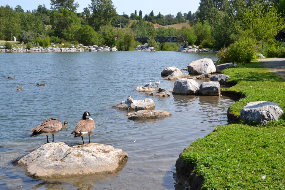 Nature landscape