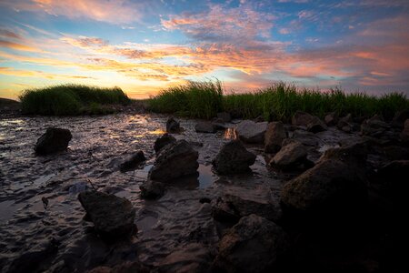 Shoals the wild stone