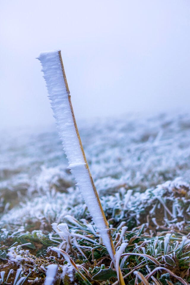 Hoarfrost cold frozen
