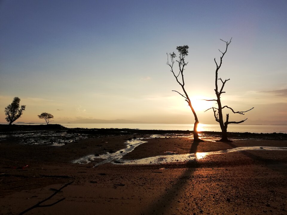 In the sand the coast the tropics photo