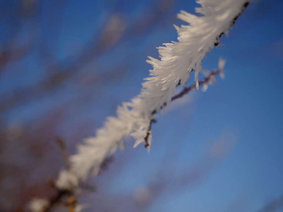 Cold frozen wintry