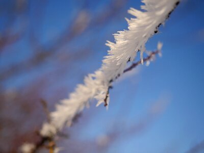 Cold frozen wintry photo