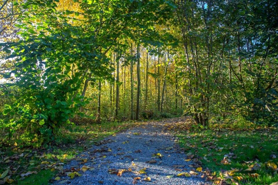 Landscape outdoor scenic