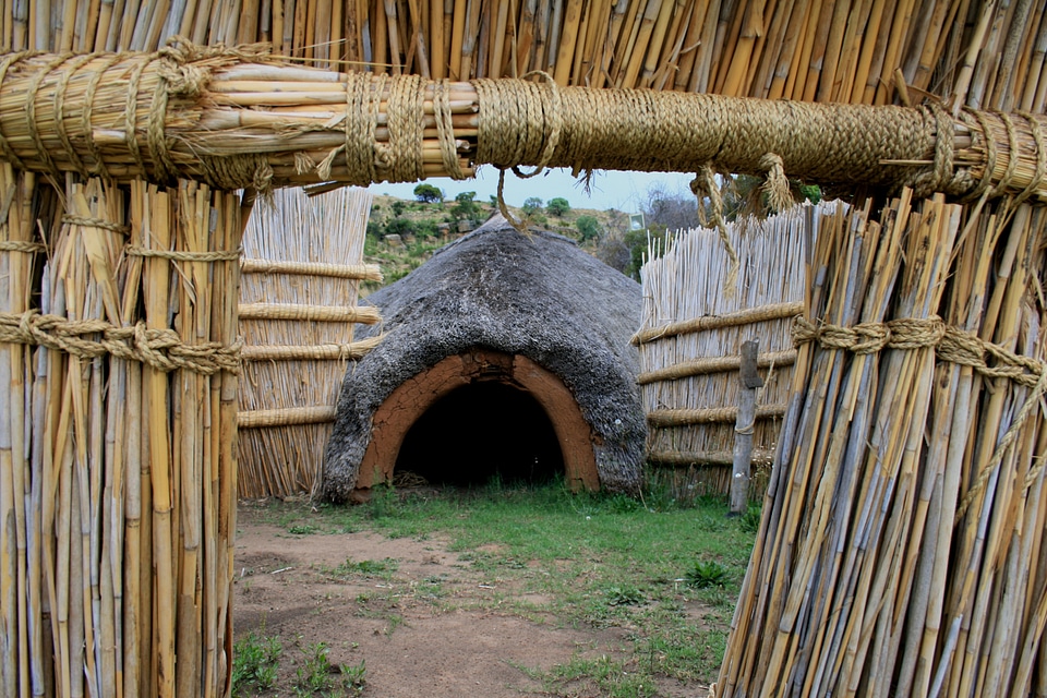 Reed wall entrance grass