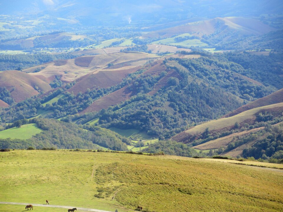 Prairie pyrénées mountain