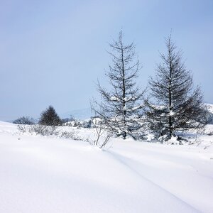 Pure white landscape nature