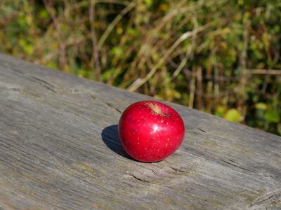 Red fresh eat