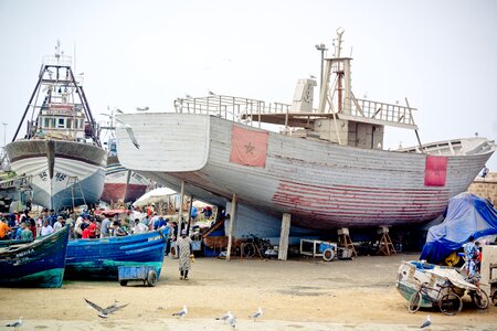 Port fish port boats photo