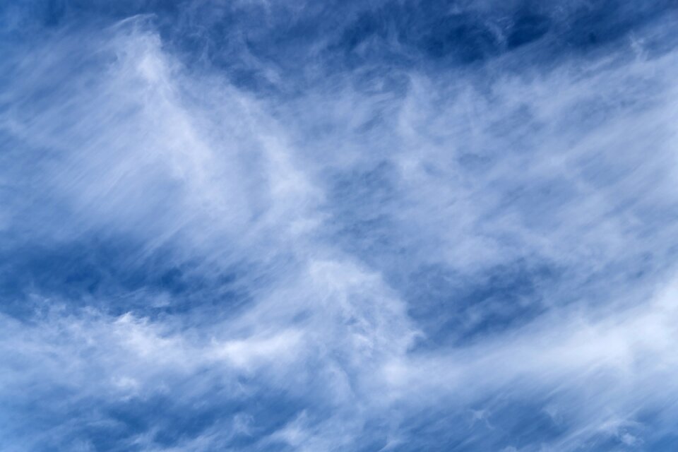 Fluffy delicate weather