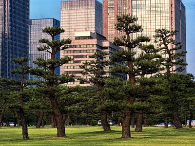 Landscape city skyscraper