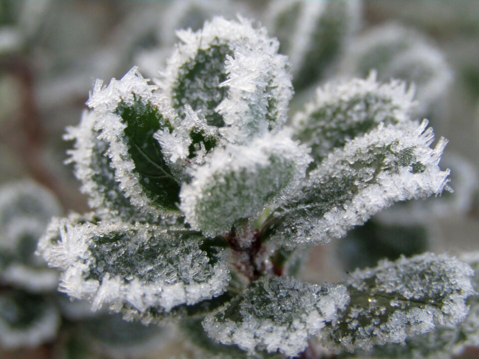Gel the ice nature