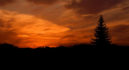 Nature forest clouds