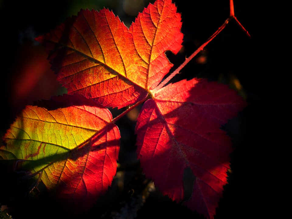 Colorful light atmospheric