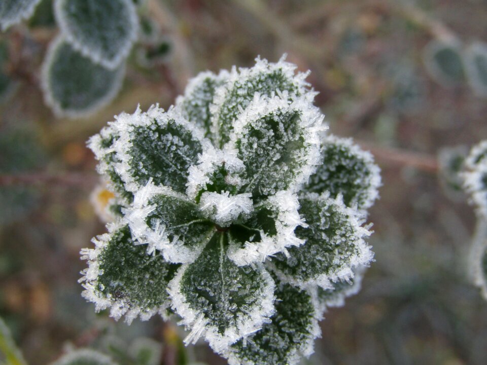 Gel the ice nature