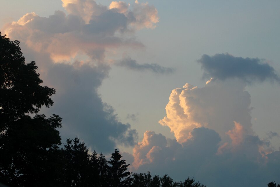 Nature evening dawn