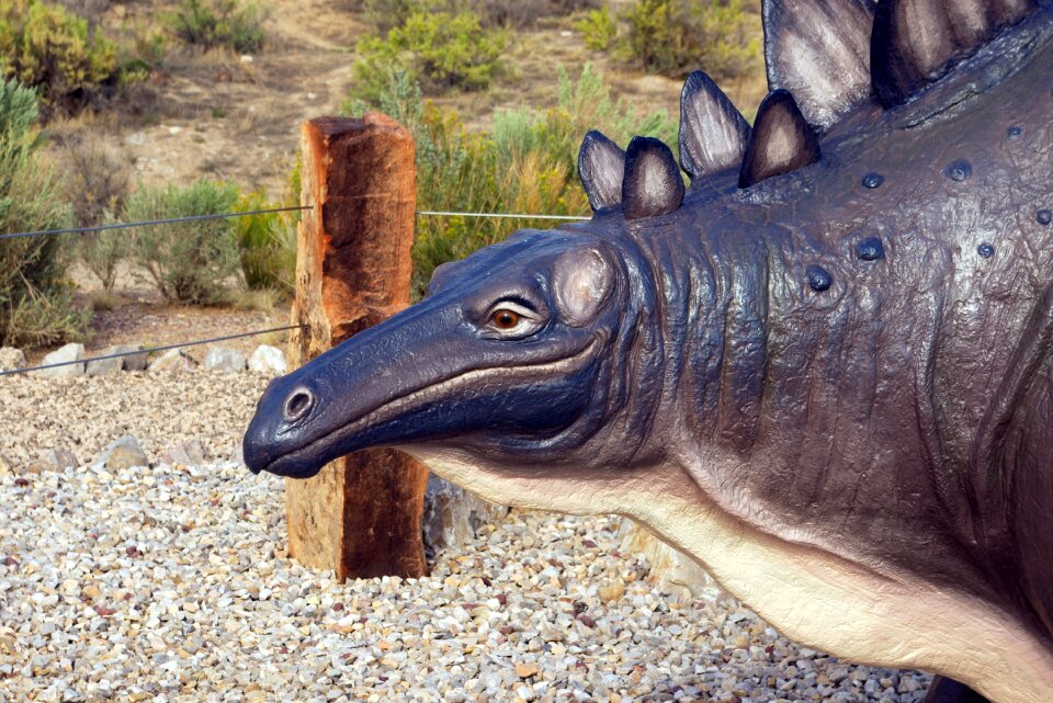 Dinosaur national monument